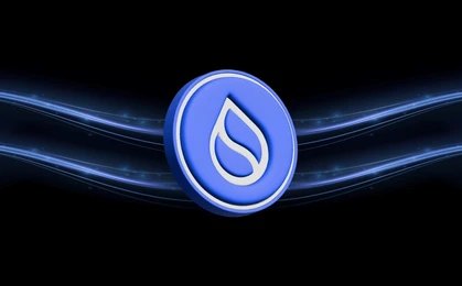 Why SUI Is Gaining Momentum Among Smart Crypto Investors?